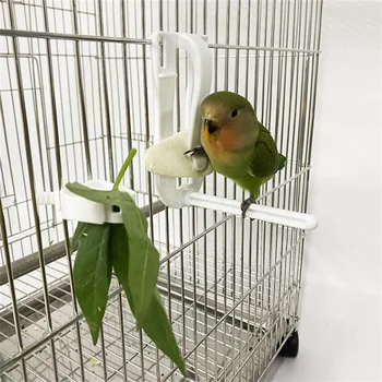 Vtáky Potravín Držiteľ Papagája Kŕmenie Ovocie Vegtable Klip Sépie Kosti Feeder Zariadenie Pin Svorka Klietku Príslušenstvo