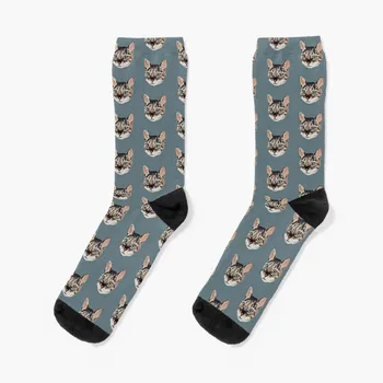 Roztomilý Bengálsko Mačka Ponožky Dámske ponožky, kompresné pančuchy Ženy pančuchy pre mužov dôležité